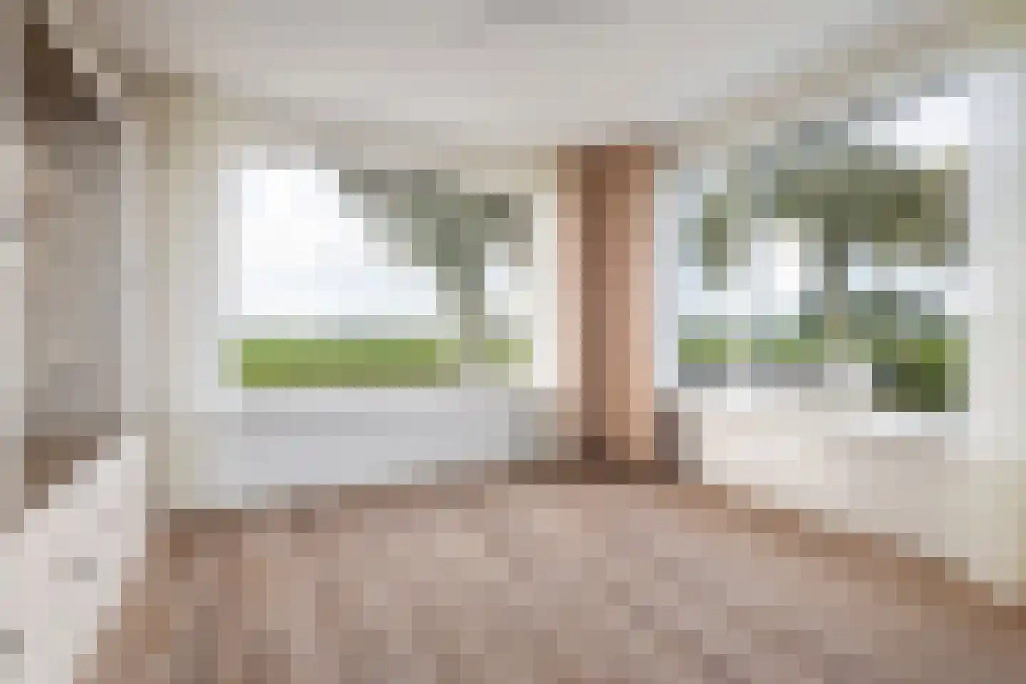 Oudebildtdijk 264 St.-Annaparochie thumbnail 8