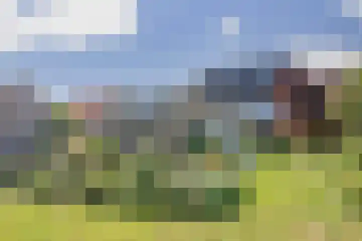 Oudebildtdijk 300 St.-Annaparochie thumbnail 8