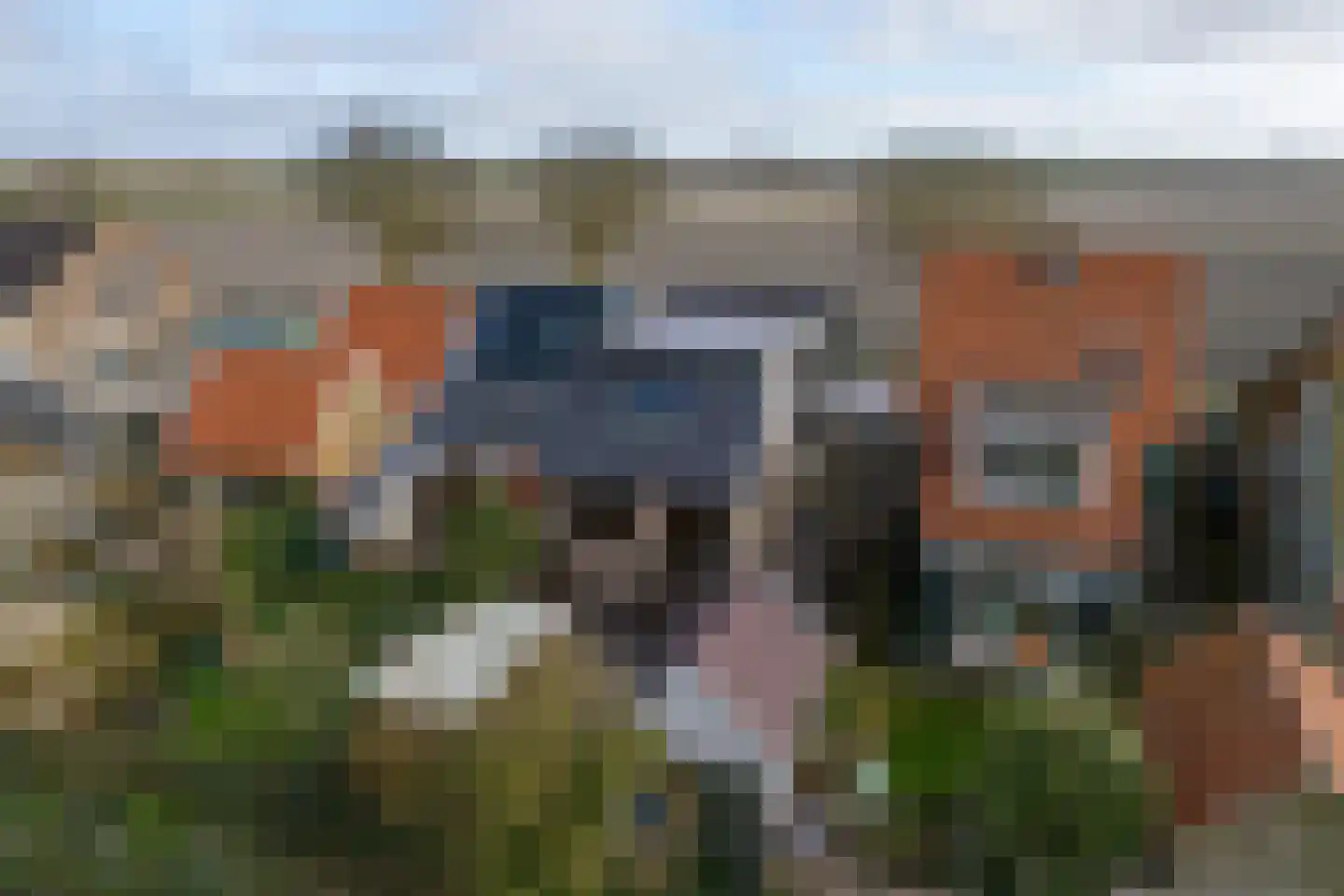 Oudebildtdijk 422 Nij Altoenae thumbnail 32