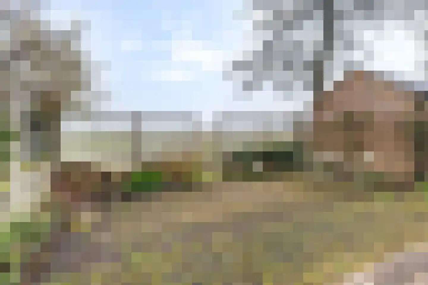 Oudebildtdijk 44 Oudebildtzijl thumbnail 21