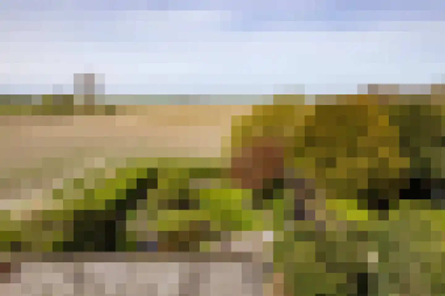 Oudebildtdijk 666 St.-Jacobiparochie thumbnail 43
