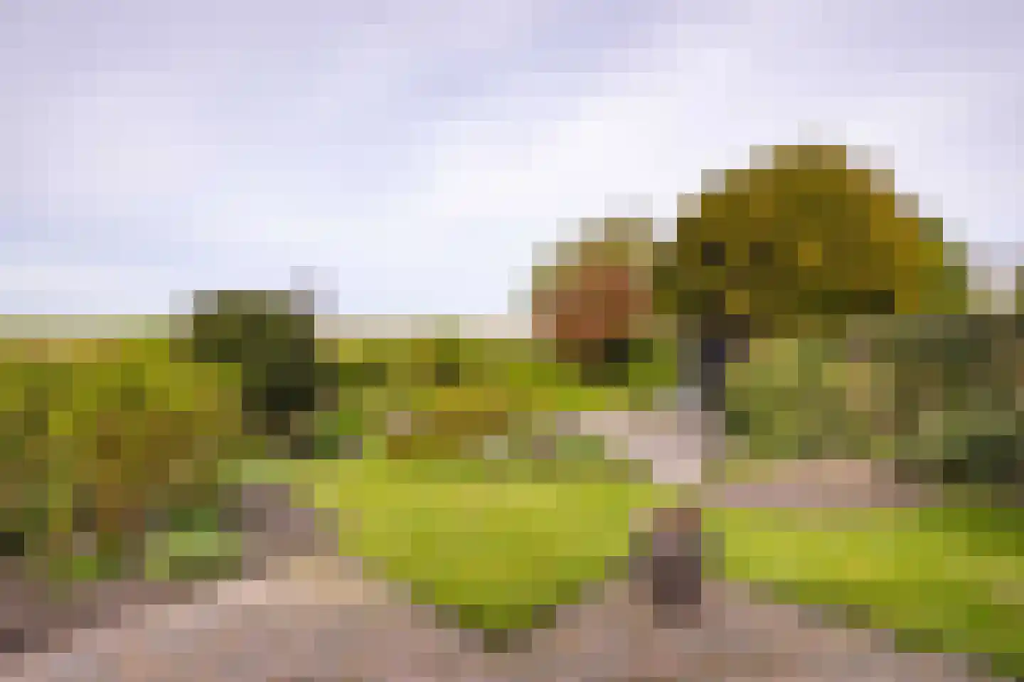 Oudebildtdijk 666 St.-Jacobiparochie thumbnail 46