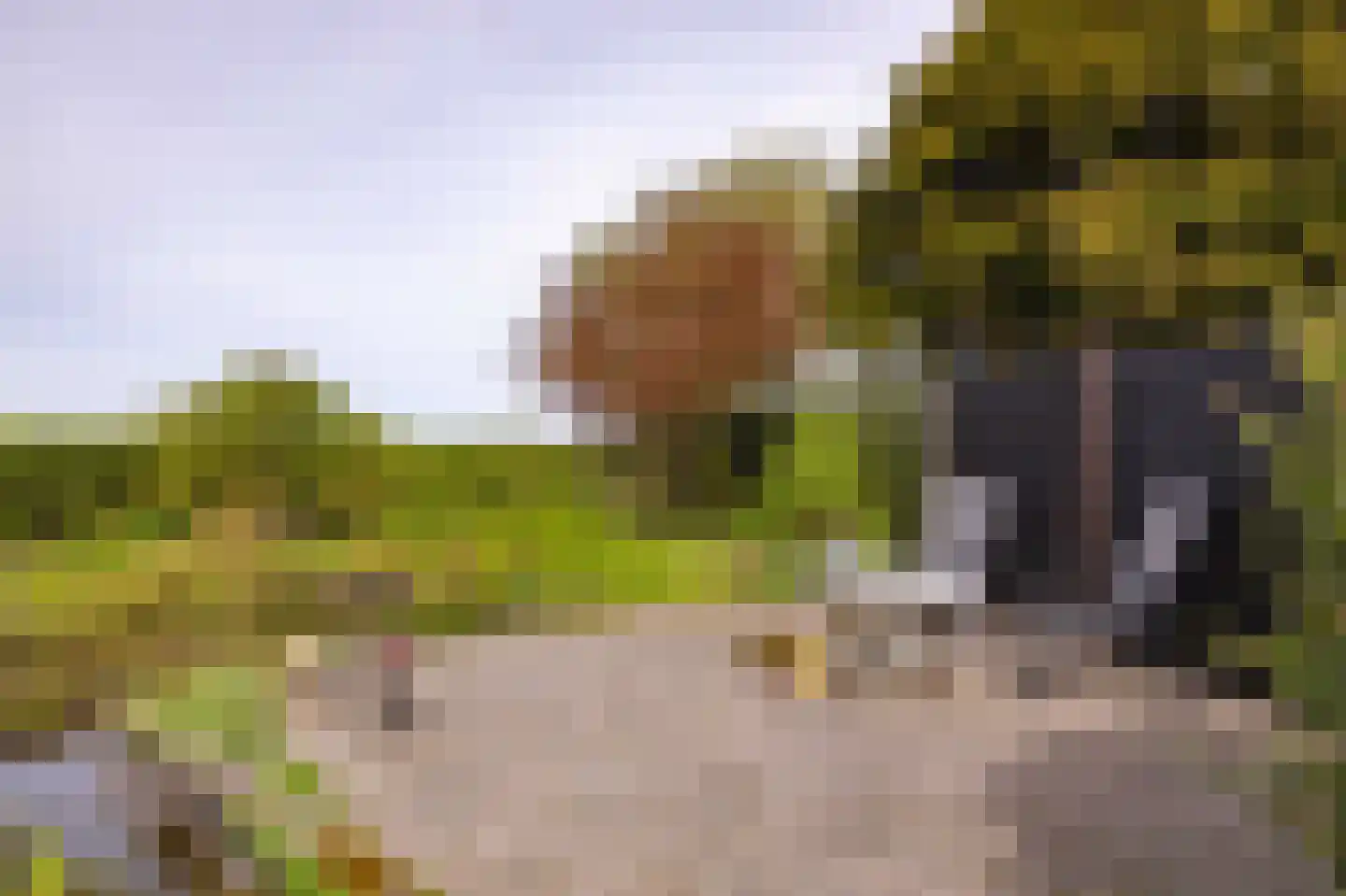 Oudebildtdijk 666 St.-Jacobiparochie thumbnail 48