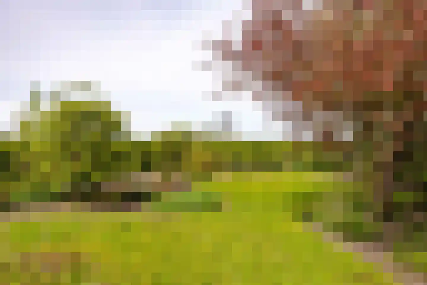 Oudebildtdijk 666 St.-Jacobiparochie thumbnail 49