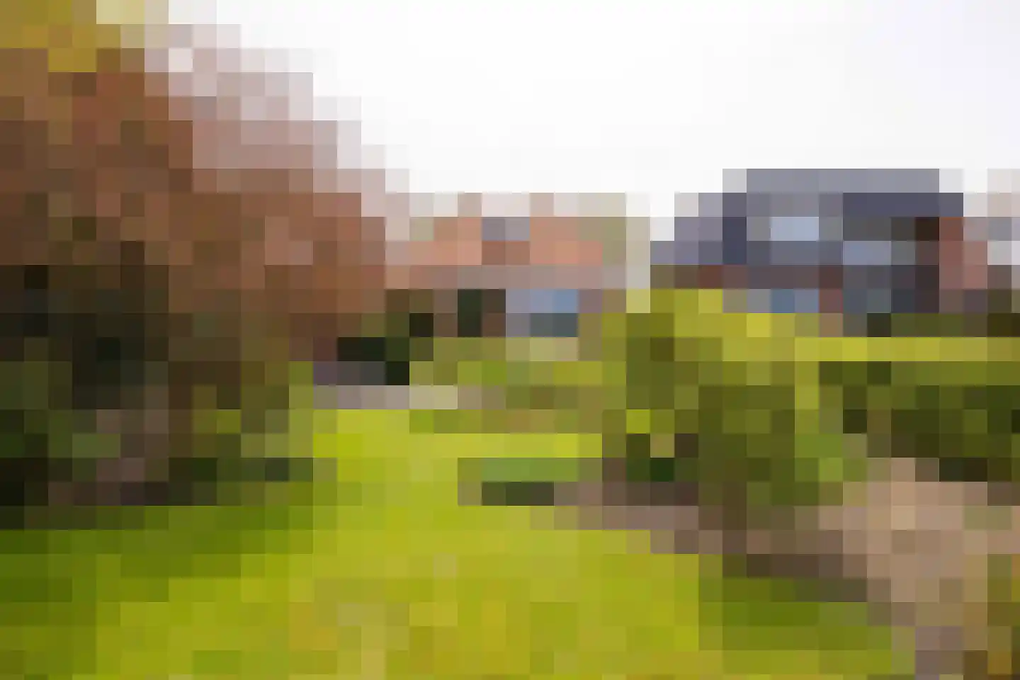 Oudebildtdijk 666 St.-Jacobiparochie thumbnail 50