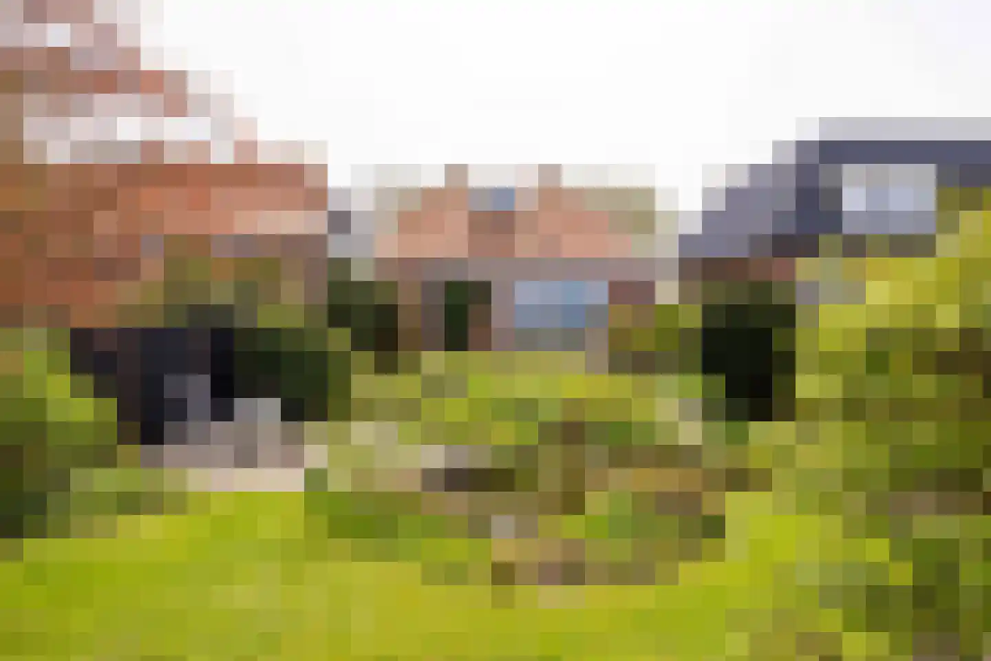 Oudebildtdijk 666 St.-Jacobiparochie thumbnail 51