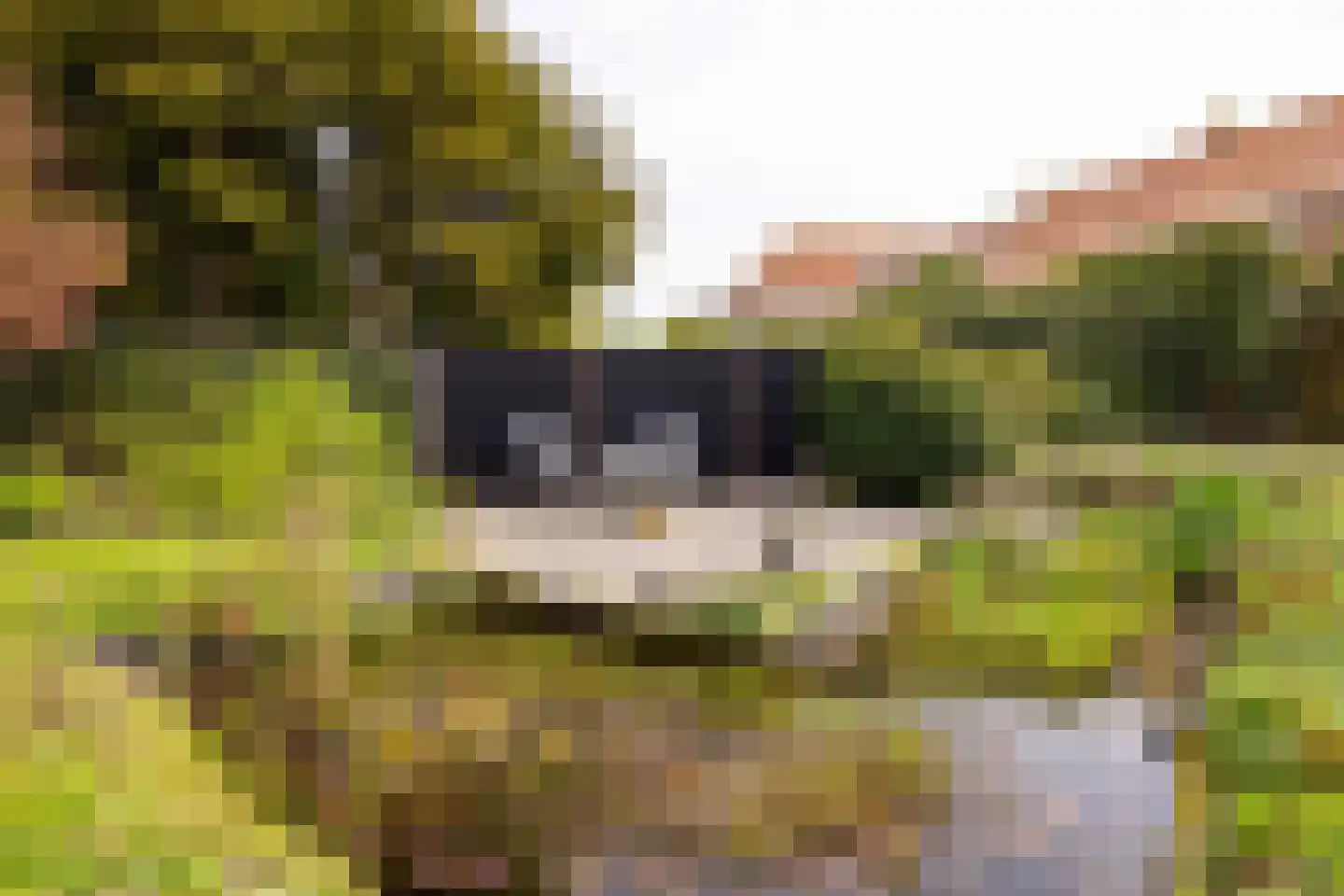 Oudebildtdijk 666 St.-Jacobiparochie thumbnail 53