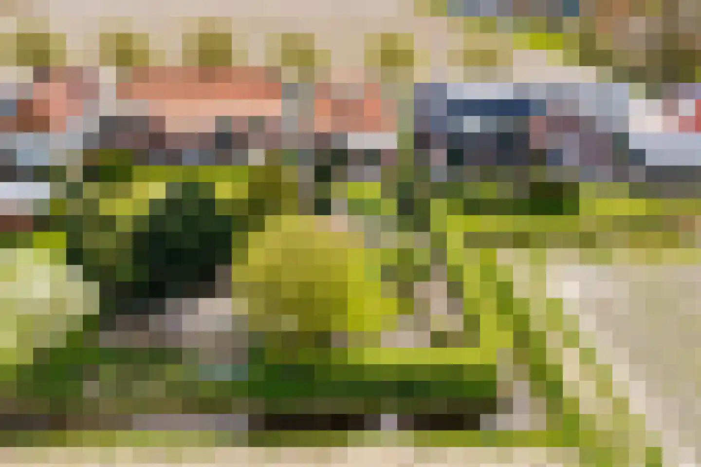 Oudebildtdijk 666 St.-Jacobiparochie thumbnail 58