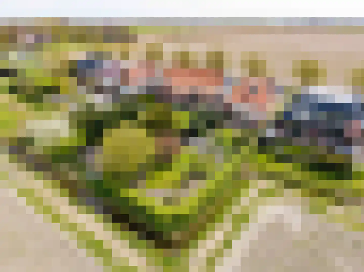 Oudebildtdijk 666 St.-Jacobiparochie thumbnail 59