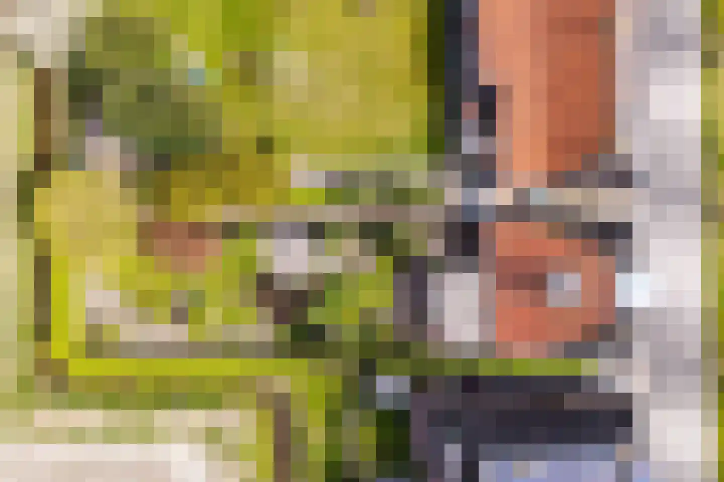 Oudebildtdijk 666 St.-Jacobiparochie thumbnail 64