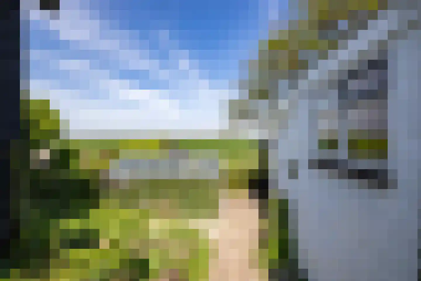 Oudebildtdijk 936 Westhoek thumbnail 38