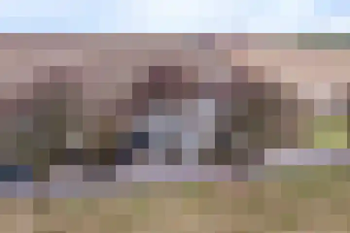 Oudebildtdijk 936 Westhoek thumbnail 7