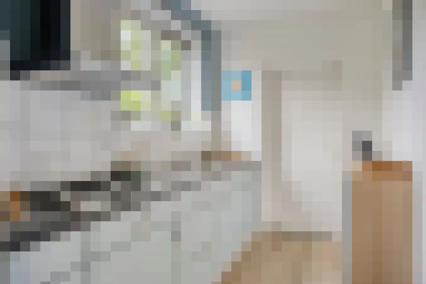Oudeborgstraat 1 Herten thumbnail 13