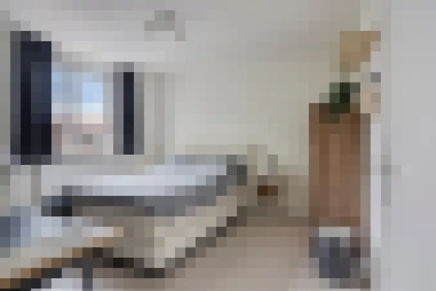 Oudeborgstraat 1 Herten thumbnail 18