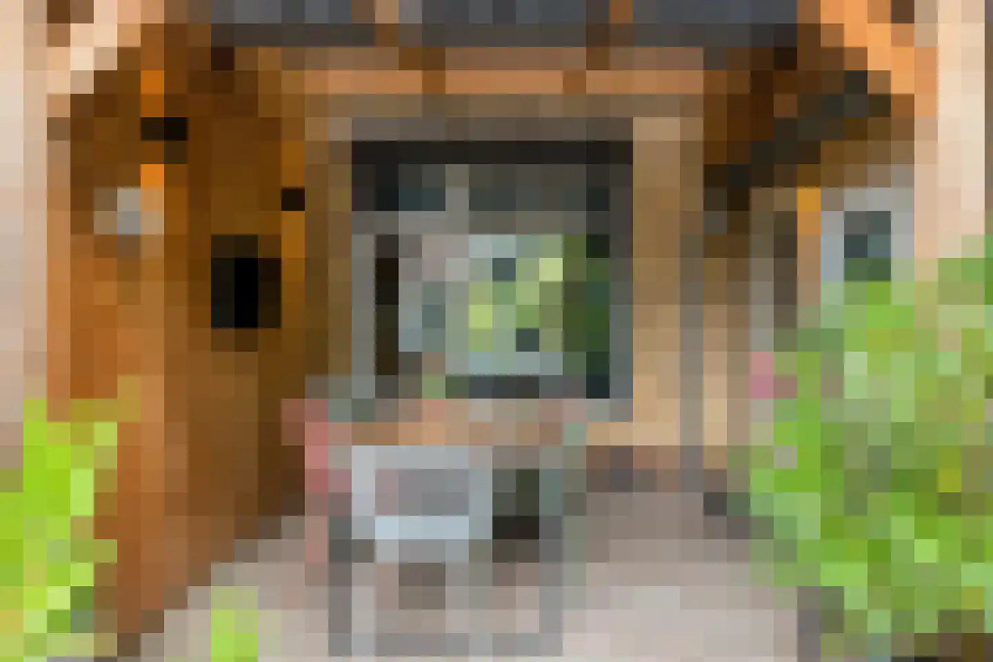 Oudeborgstraat 1 Herten thumbnail 26