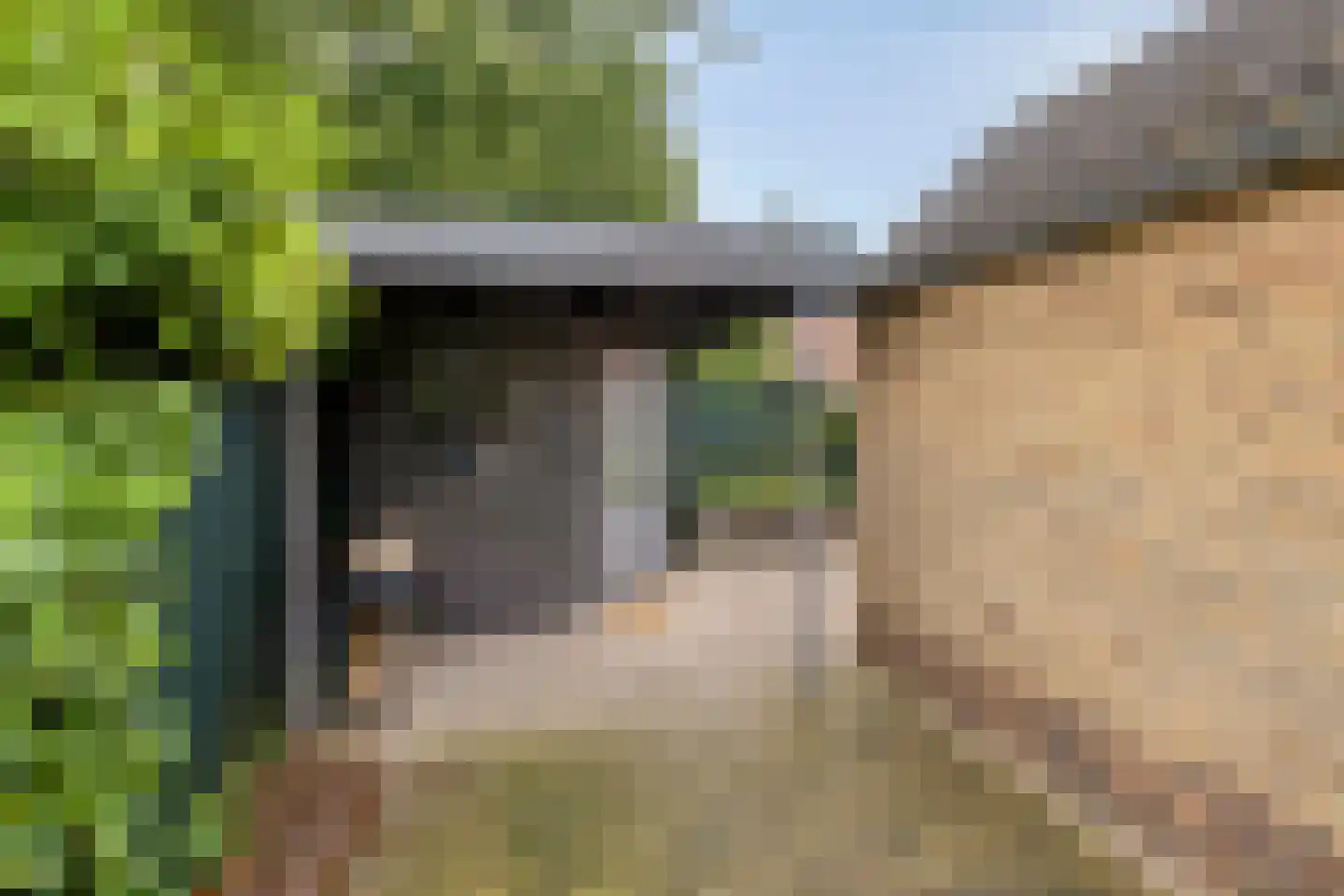 Oudeborgstraat 1 Herten thumbnail 30