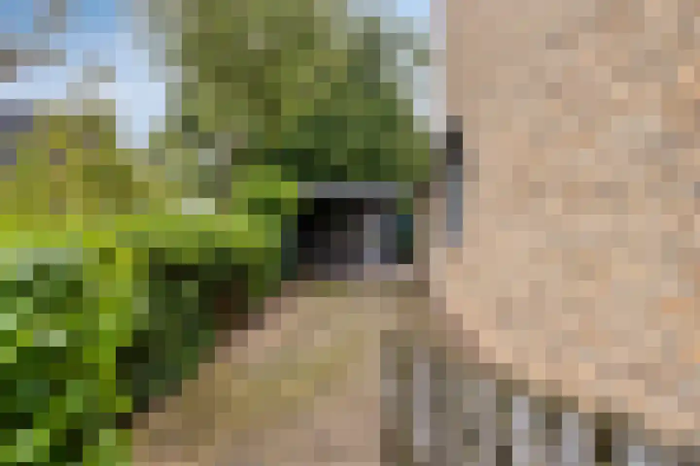 Oudeborgstraat 1 Herten thumbnail 31