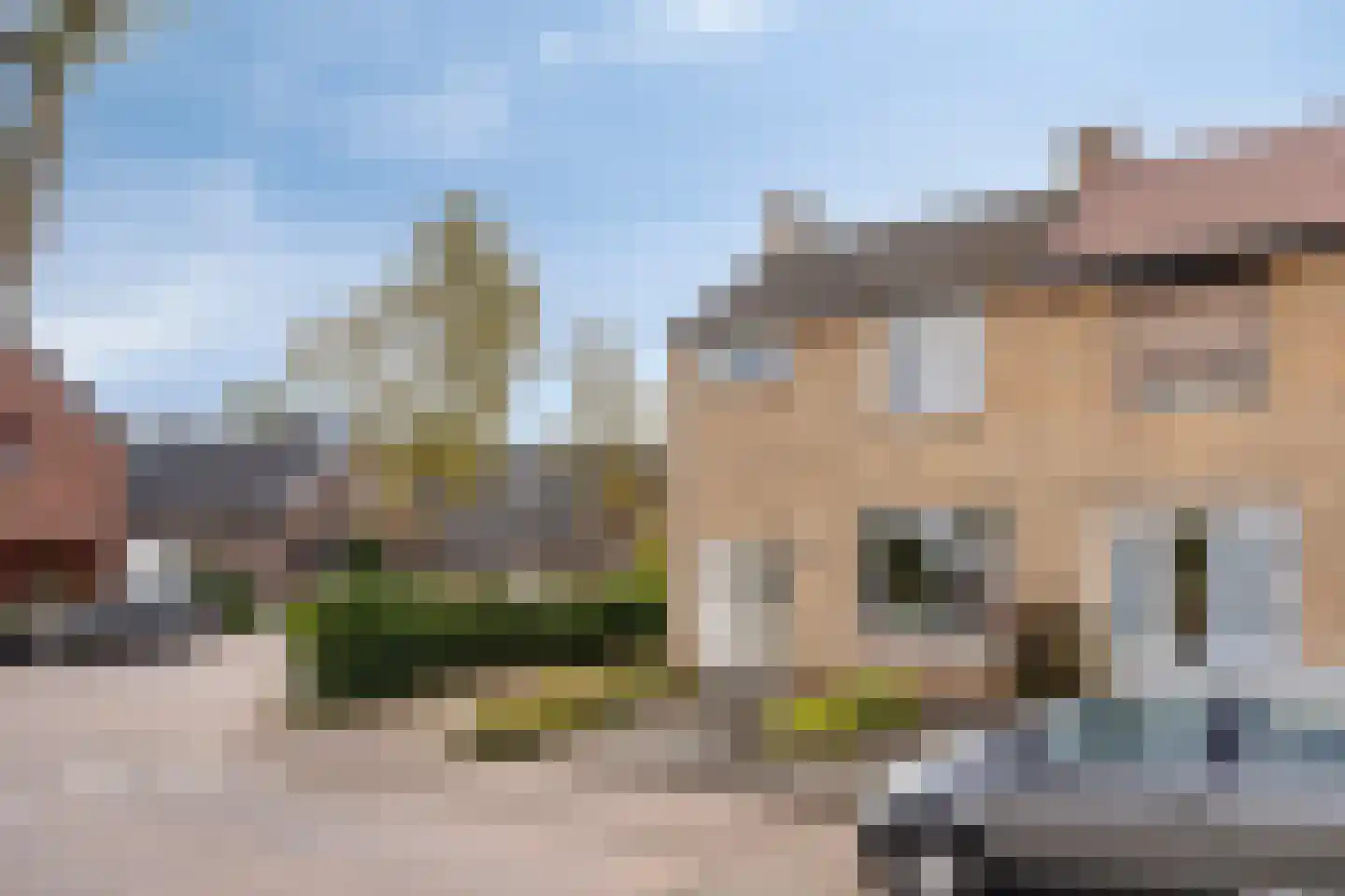 Oudeborgstraat 1 Herten thumbnail 34