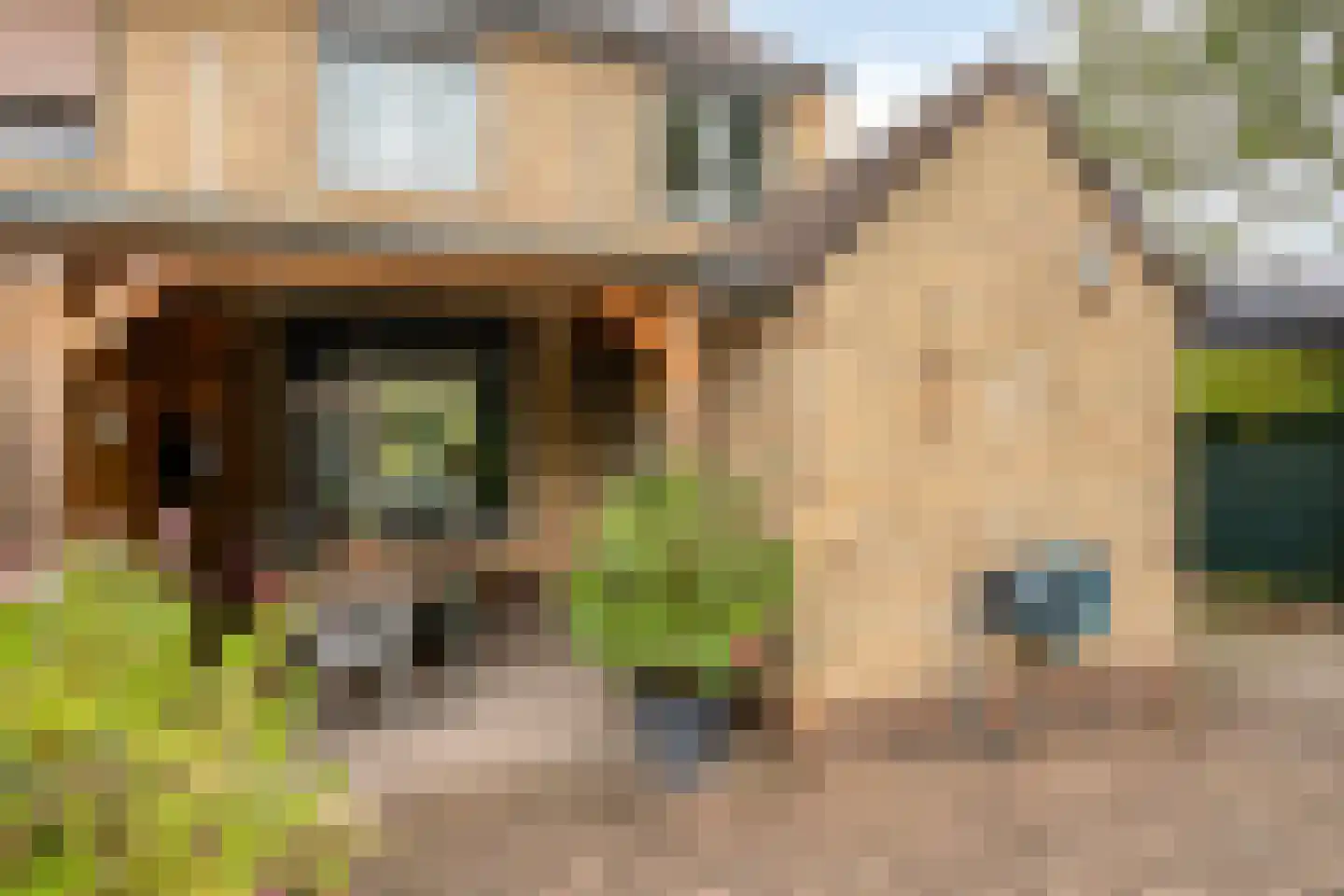 Oudeborgstraat 1 Herten thumbnail 4