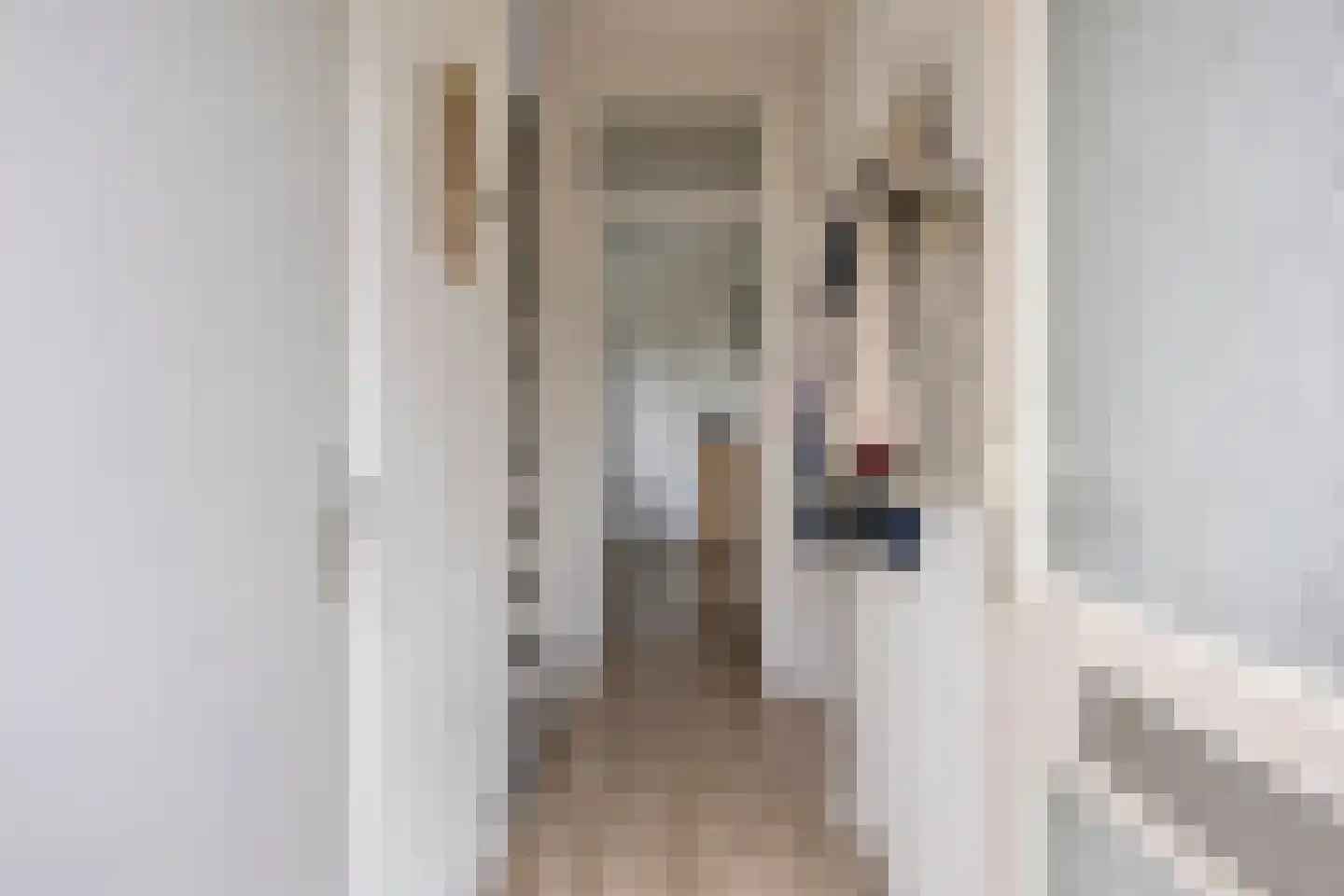 Oudeborgstraat 1 Herten thumbnail 5