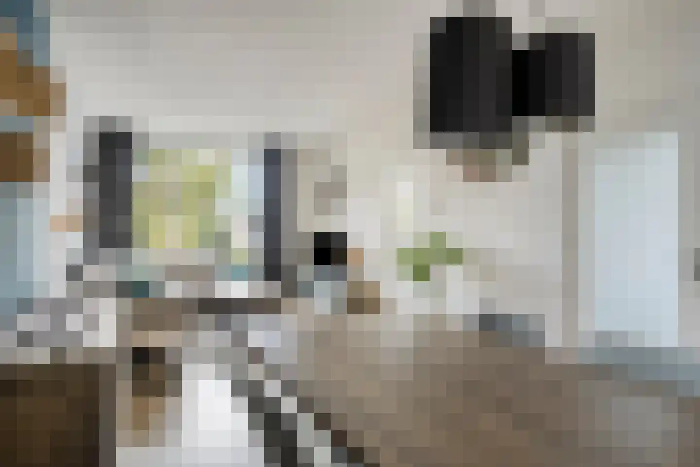 Oudeborgstraat 1 Herten thumbnail 7