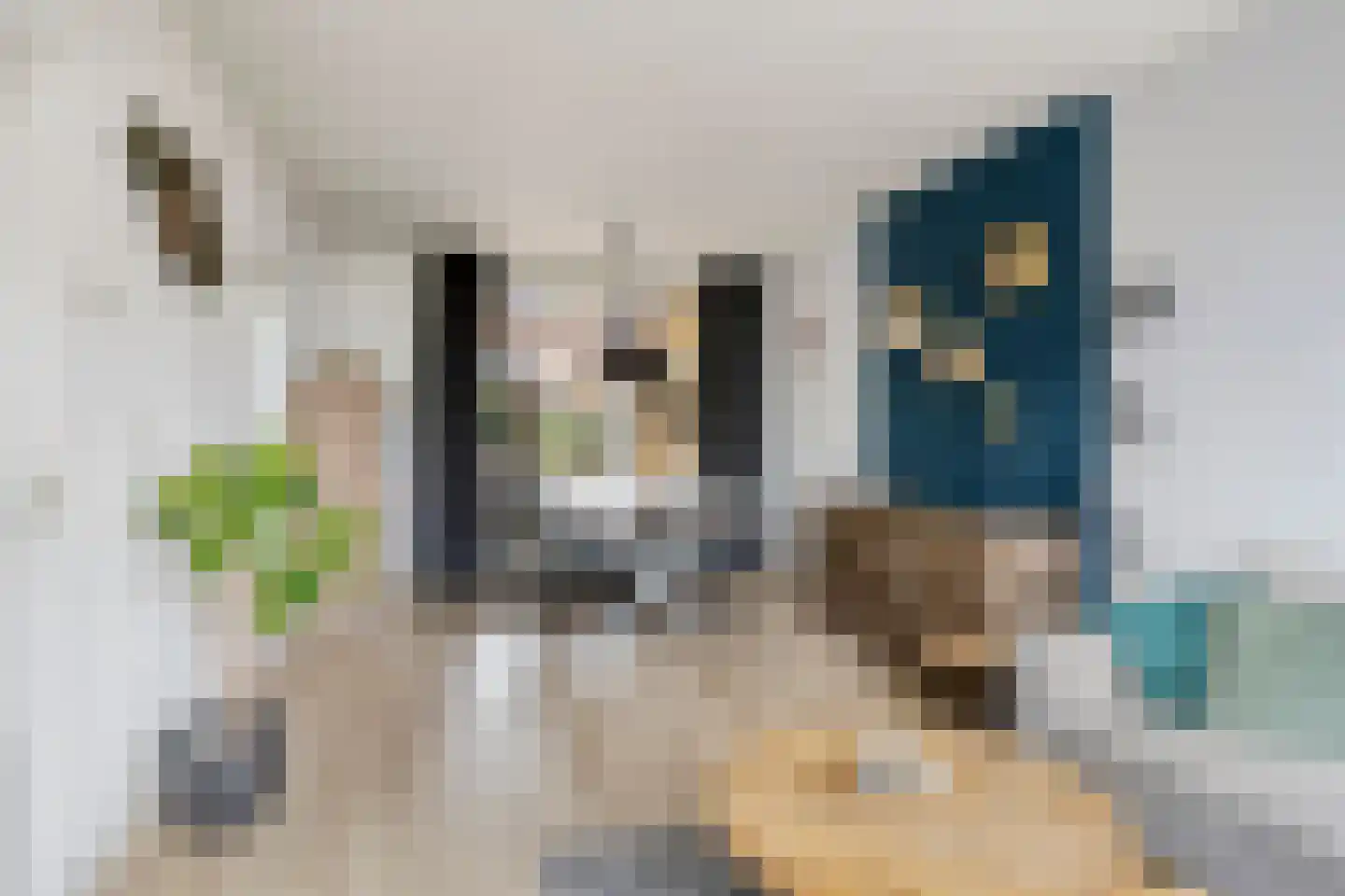 Oudeborgstraat 1 Herten thumbnail 9