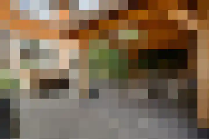 Oudeborgstraat 11 Herten thumbnail 23