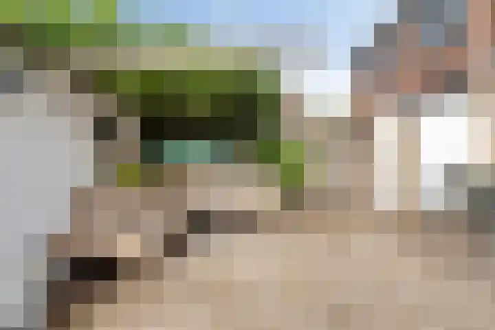 Oudeborgstraat 13 Herten thumbnail 26