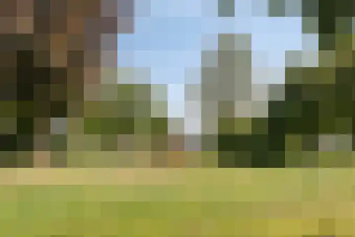 Oudeborgstraat 13 Herten thumbnail 30