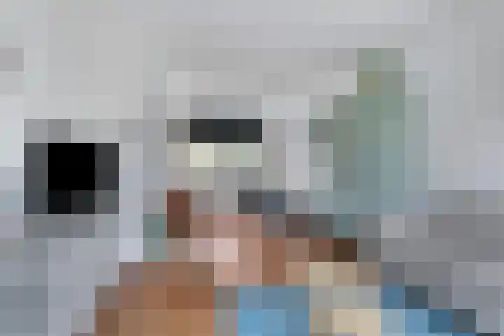 Oudeborgstraat 13 Herten thumbnail 4