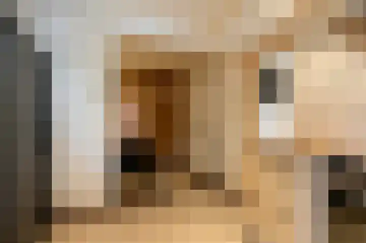 Oudeborgstraat 19 Herten thumbnail 10