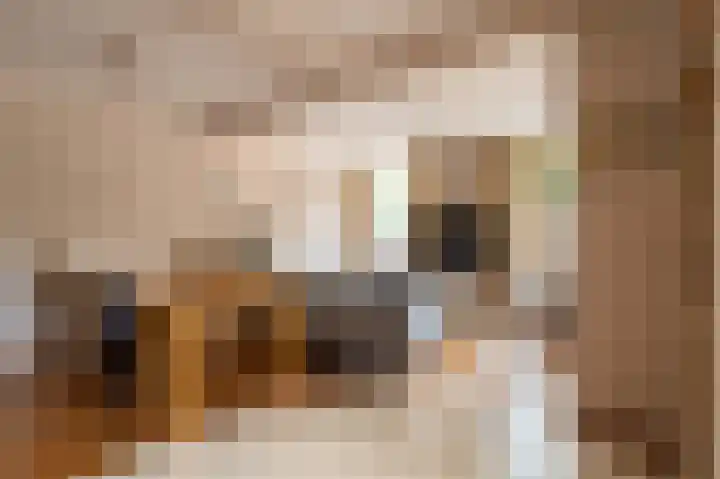 Oudeborgstraat 19 Herten thumbnail 4