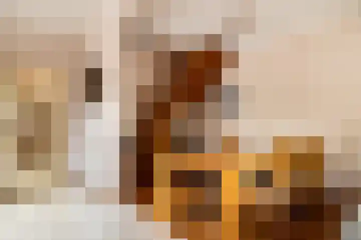 Oudeborgstraat 19 Herten thumbnail 7