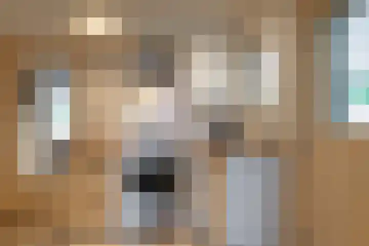 Oudeborgstraat 19 Herten thumbnail 9