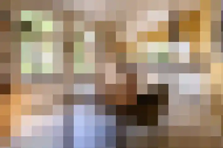 Oudeborgstraat 29 Herten thumbnail 12