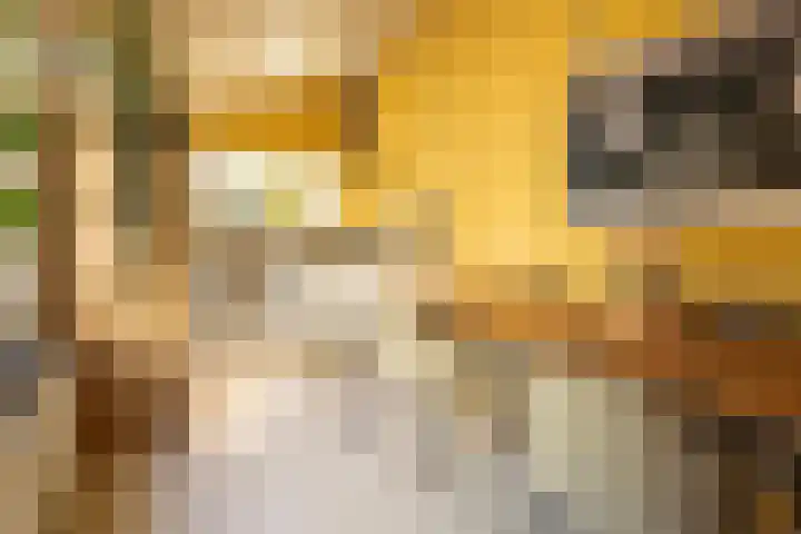 Oudeborgstraat 29 Herten thumbnail 13
