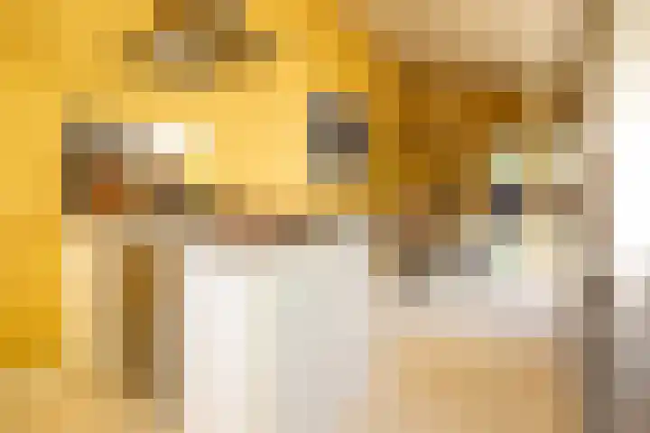 Oudeborgstraat 29 Herten thumbnail 15