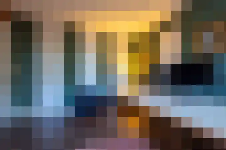Oudeborgstraat 29 Herten thumbnail 25