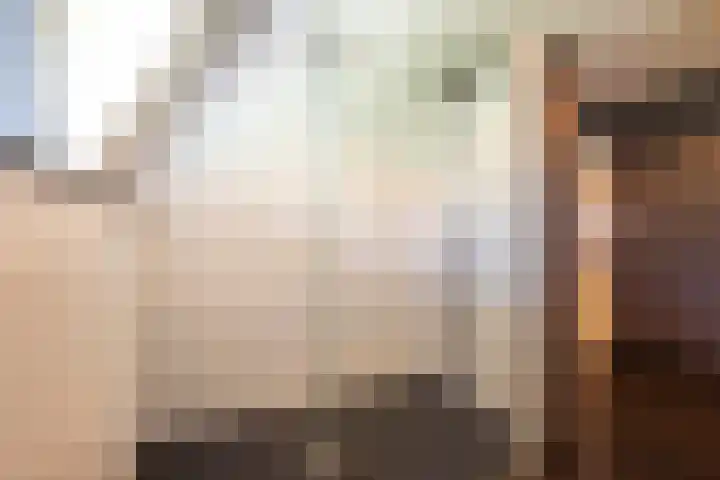 Oudeborgstraat 29 Herten thumbnail 27