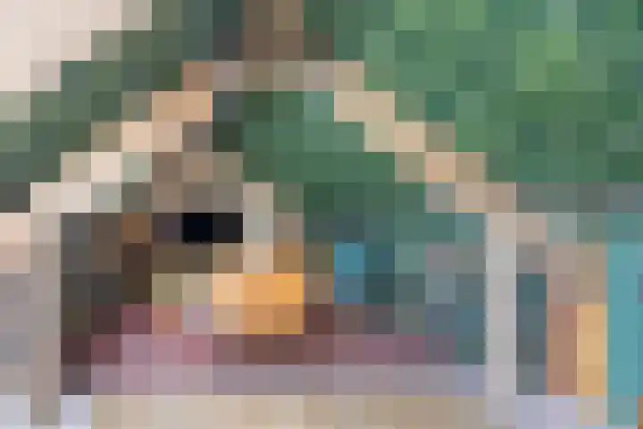 Oudeborgstraat 29 Herten thumbnail 29