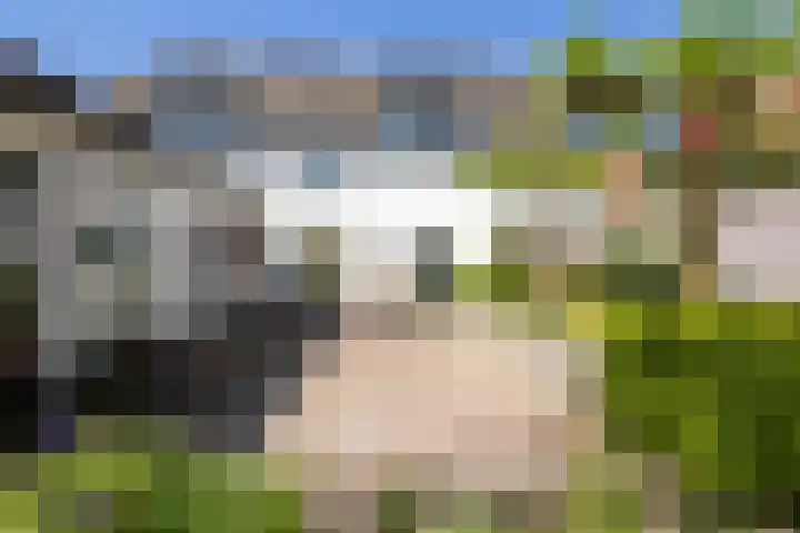 Oudeborgstraat 29 Herten thumbnail 33