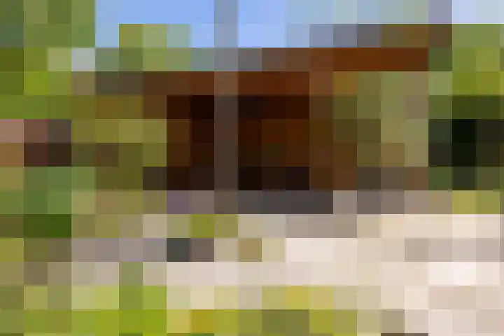 Oudeborgstraat 29 Herten thumbnail 34