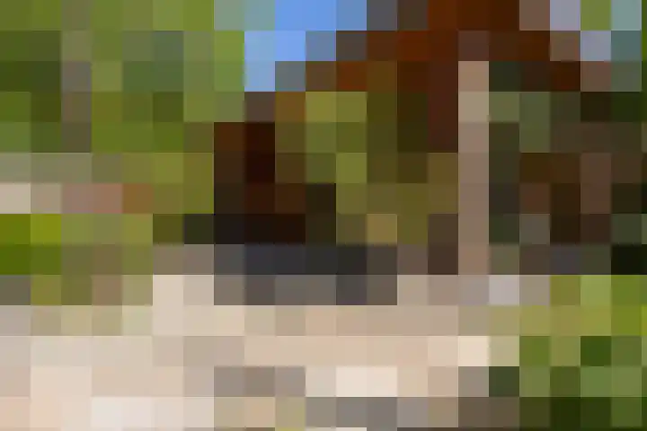 Oudeborgstraat 29 Herten thumbnail 36