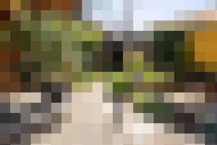 Oudeborgstraat 29 Herten thumbnail 37