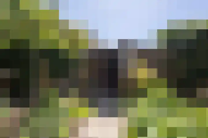 Oudeborgstraat 29 Herten thumbnail 38