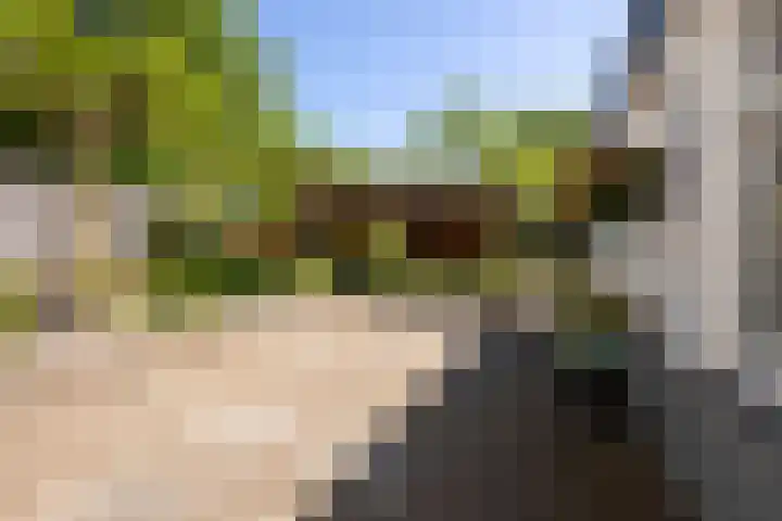 Oudeborgstraat 29 Herten thumbnail 39