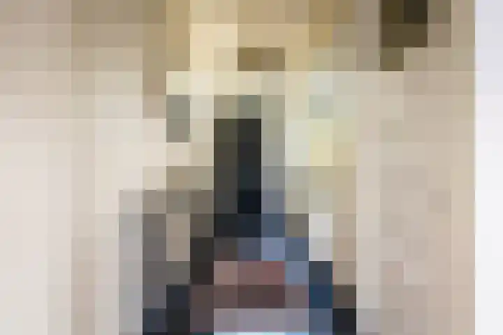 Oudeborgstraat 29 Herten thumbnail 4