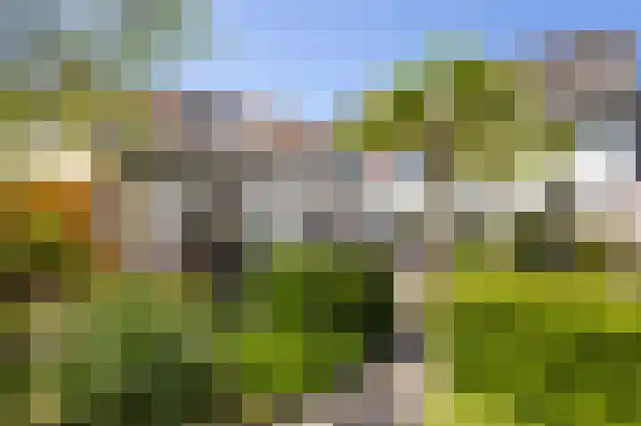 Oudeborgstraat 29 Herten thumbnail 55