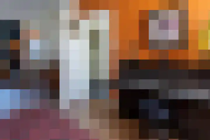 Oudeborgstraat 29 Herten thumbnail 8