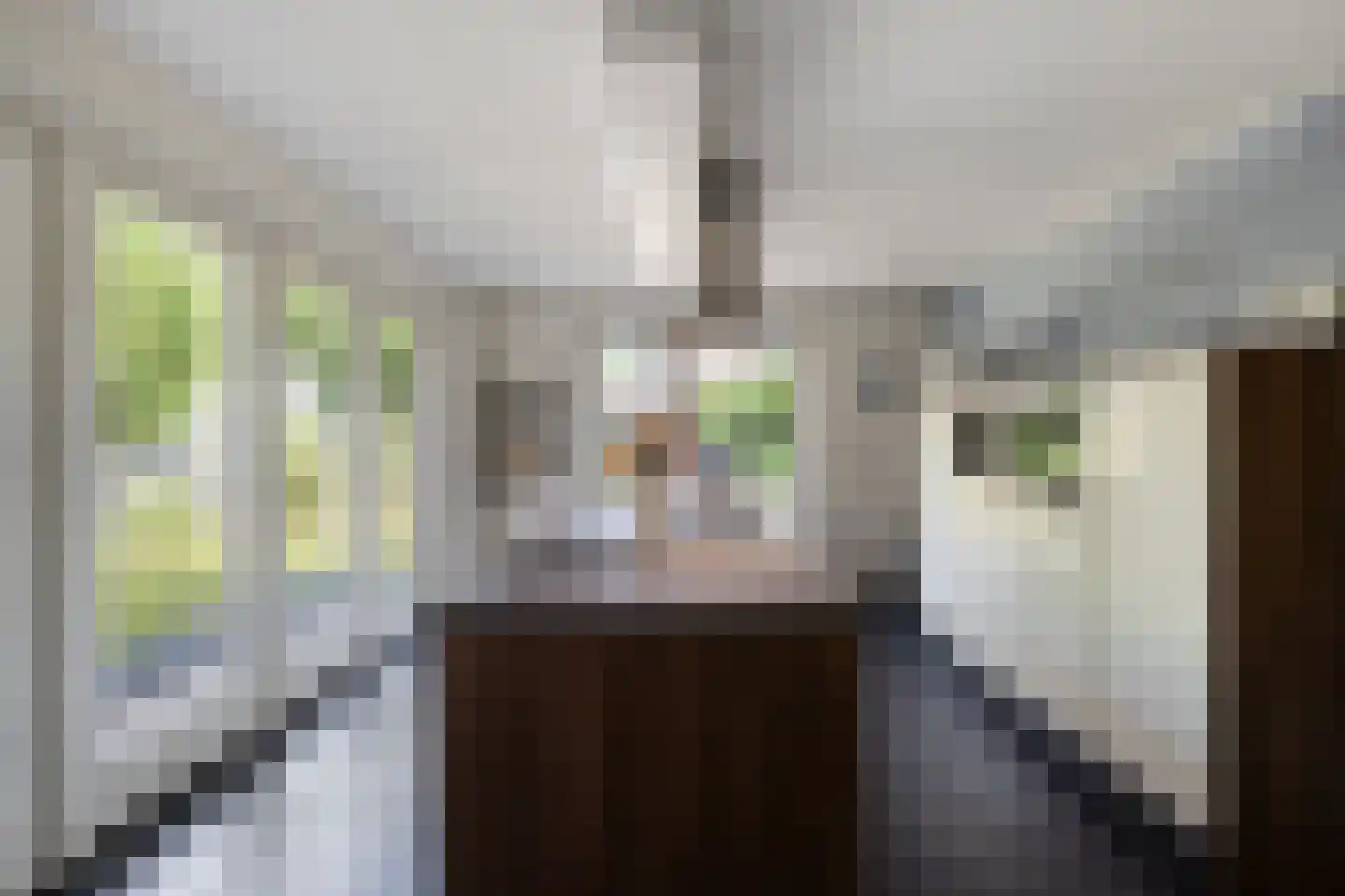 Oudeborgstraat 4 Herten thumbnail 18